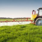 39650958 - tractor spraying wheat field with sprayer