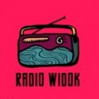 Radio Widok - rekrutacja — kopia