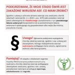 spotkanie pryszczyca